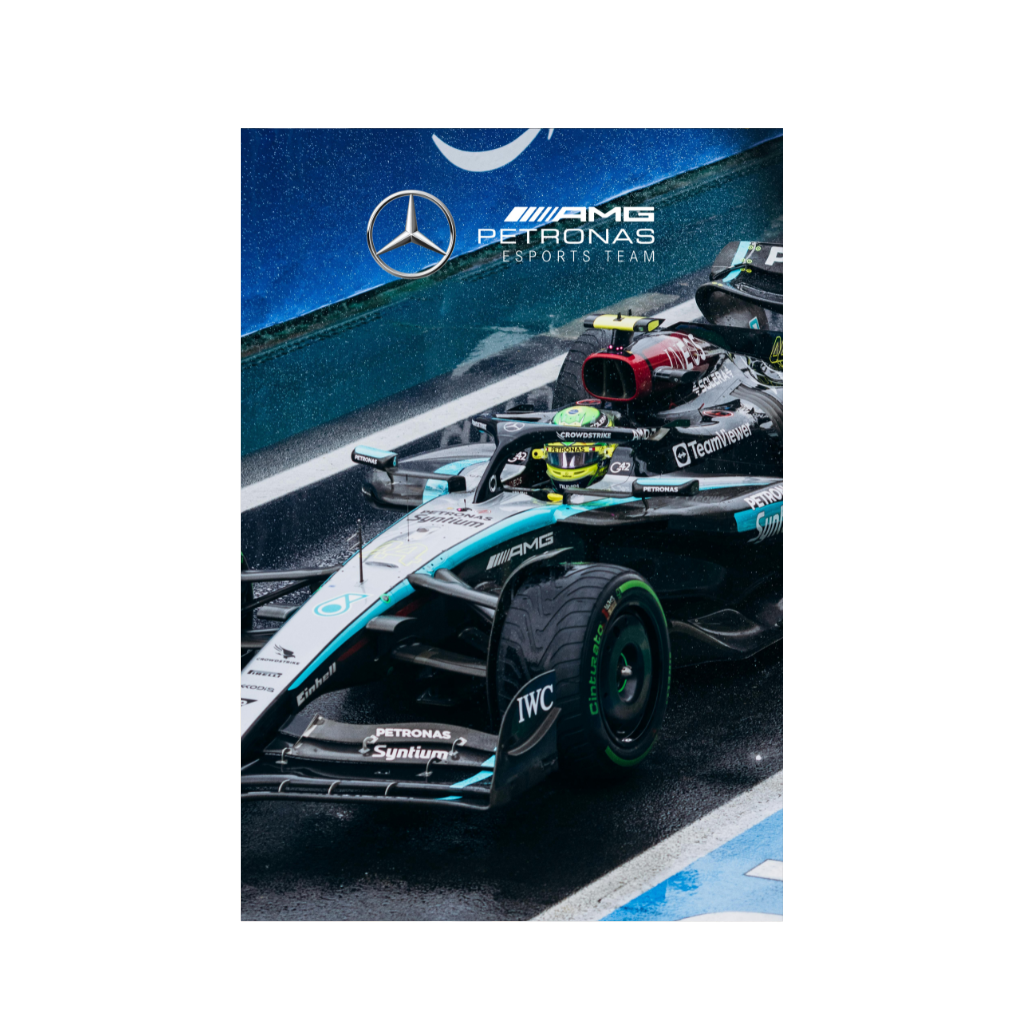 Mercedes Team Racing