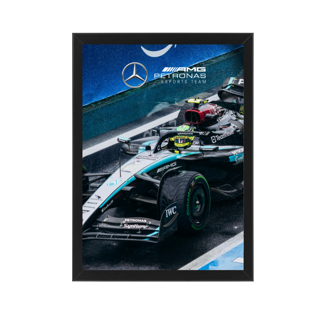 Mercedes Team Racing